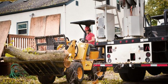 Landscaping Services