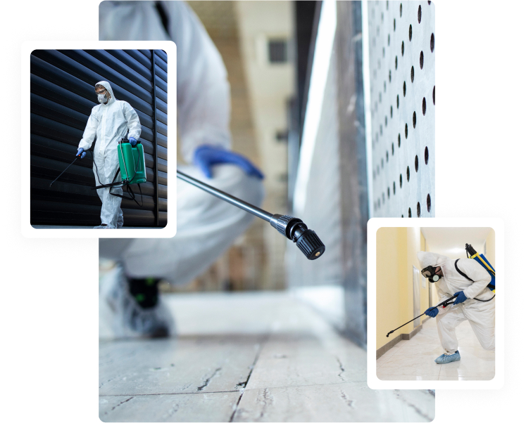 Pest Control service