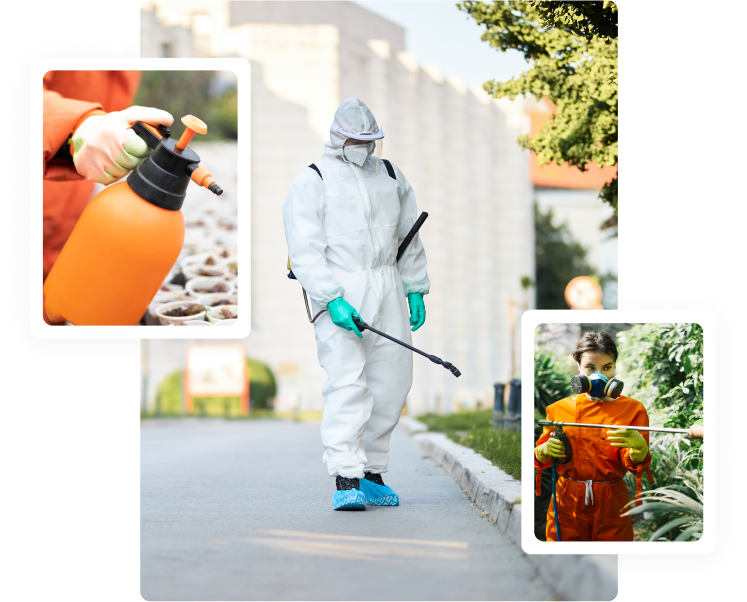 fleas-ticks-control