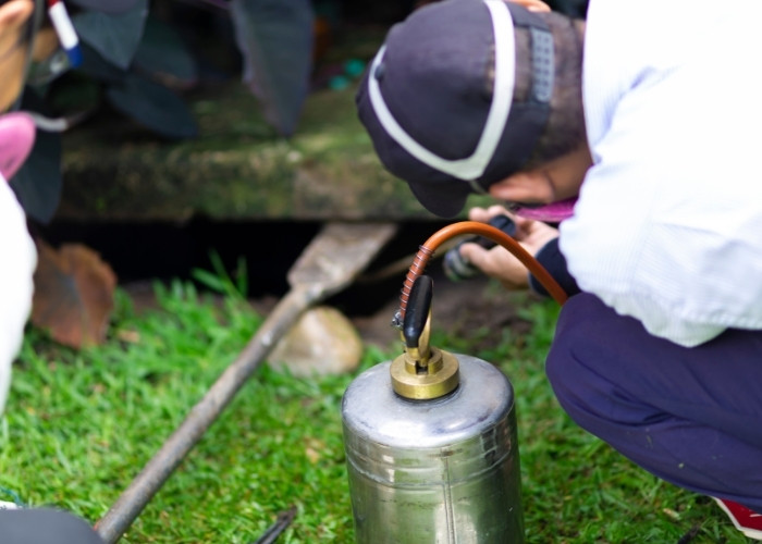 Termite Treatments