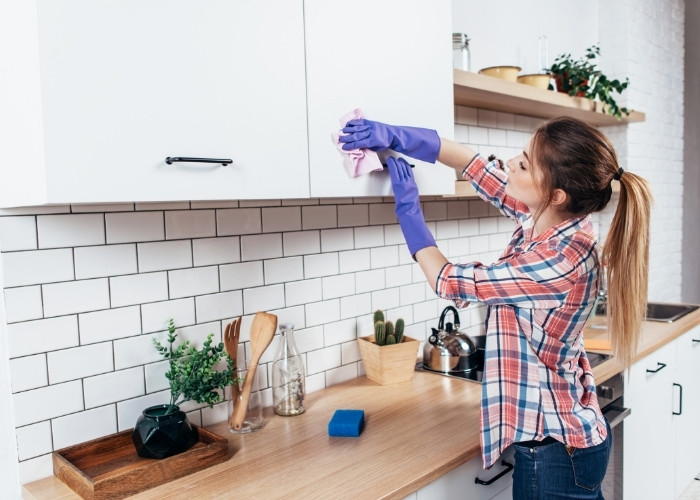 House Cleaning Tips