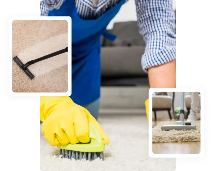 Carpet Cleaning Services
