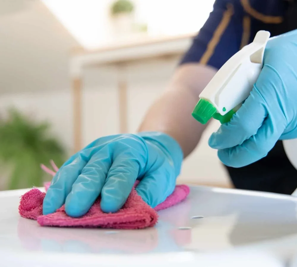 Cleaning Services Cleaning Services