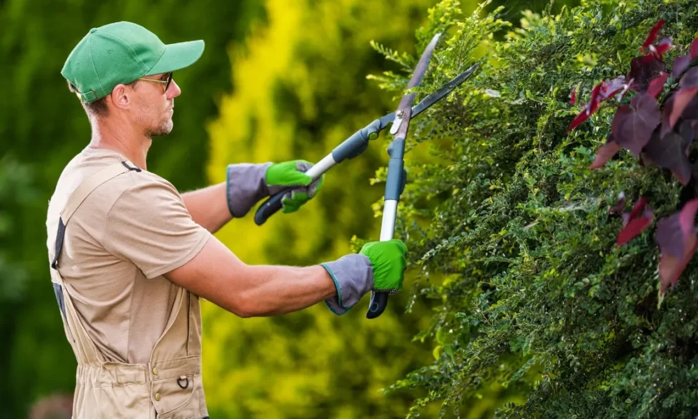Landscaping Services