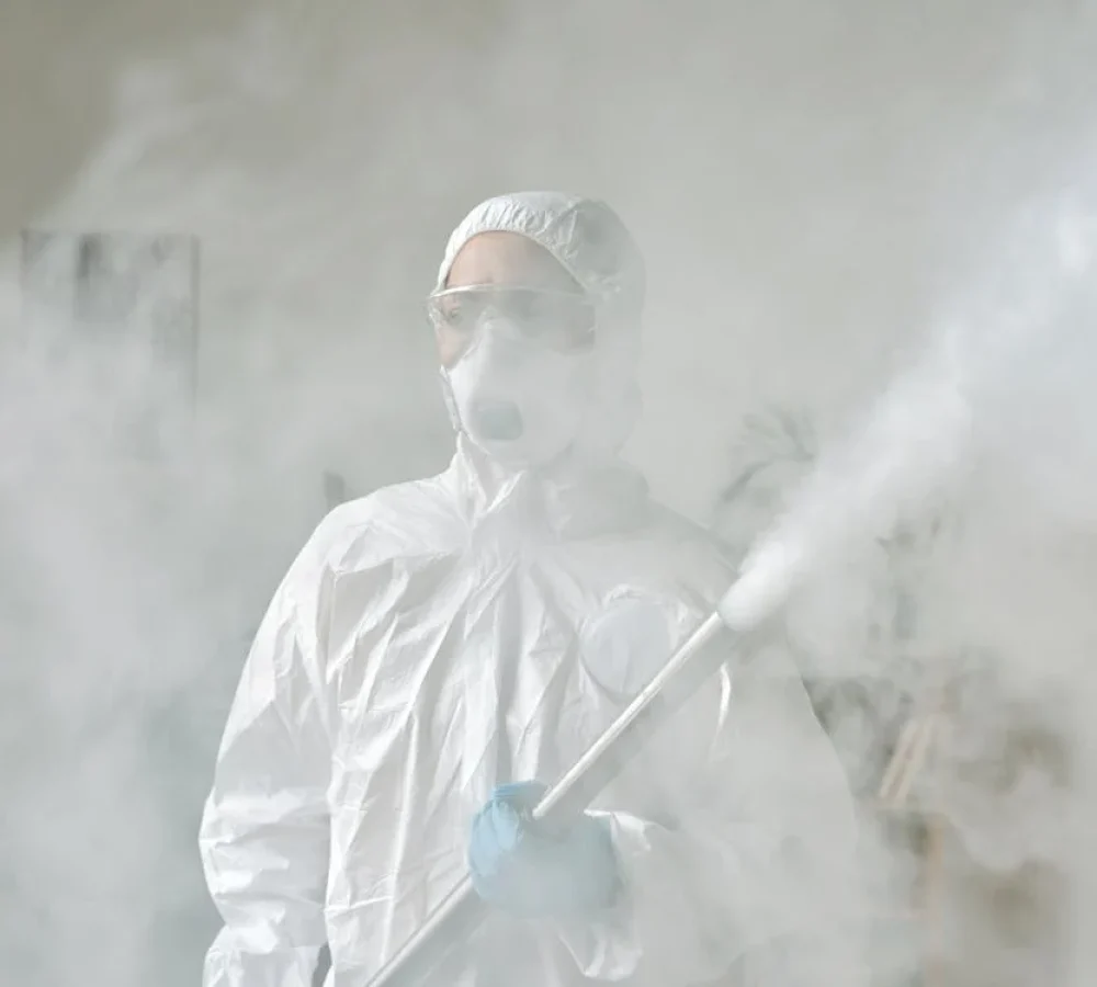 Pest Control Services